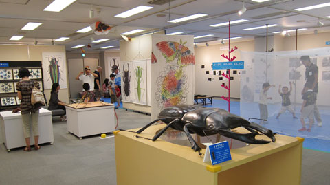 元町昆虫館2011