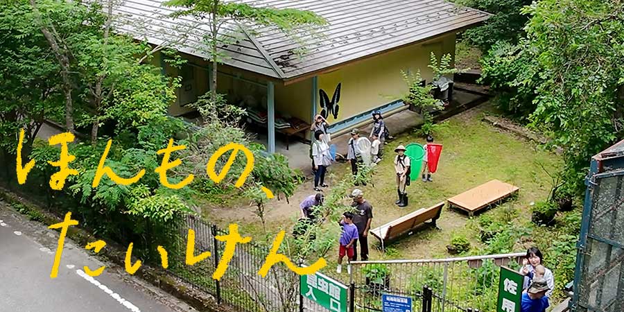 ほんもの、たいけん佐用町昆虫館